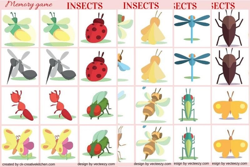 Insects - Memory game free printables