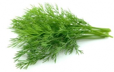 Dill benefits