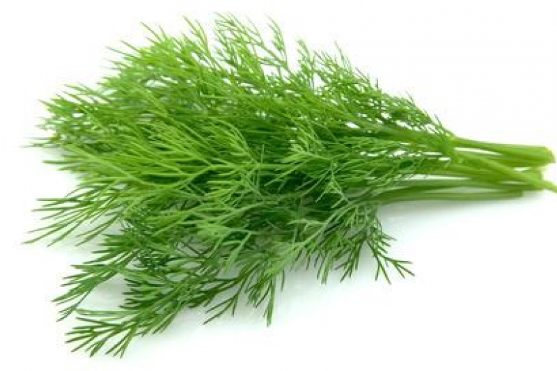 Dill benefits