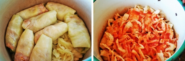 hungarian,stuffed,cabbage,cooking