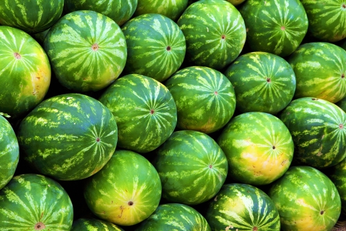 watermelon benefits and presence